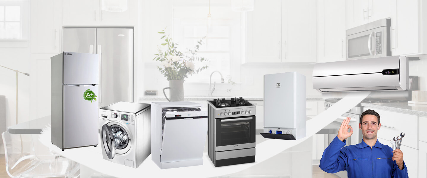 Hendek Electrolux Servisi